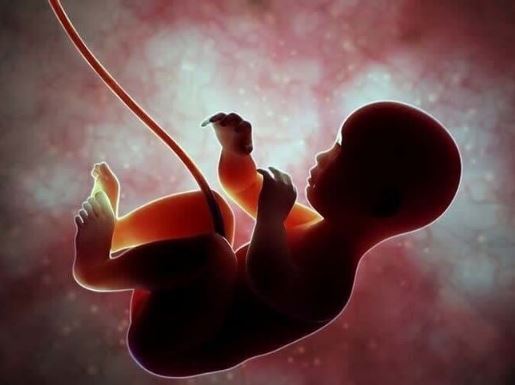 قدیمی‌ها چگونه جنسیت جنین را تشخیص می‌دادند؟