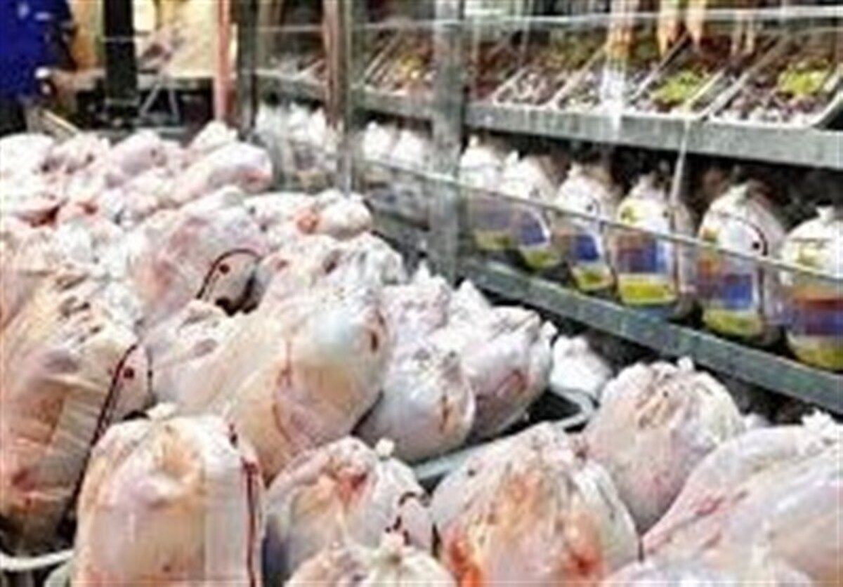 ذخیره‌سازی ۲.۵ برابری مرغ در مازندران/ نظارت بر قیمت‌ها