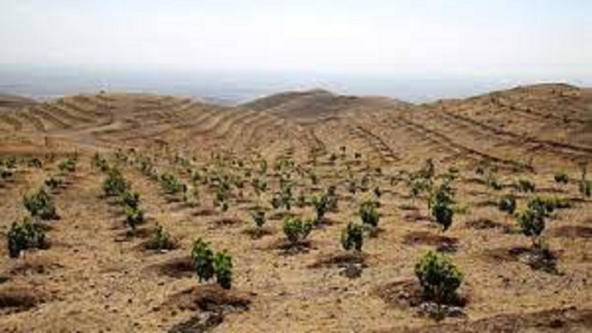 کاهش ۲۰ درصدی کانون‌های بحرانی فرسایش بادی در برنامه هفتم