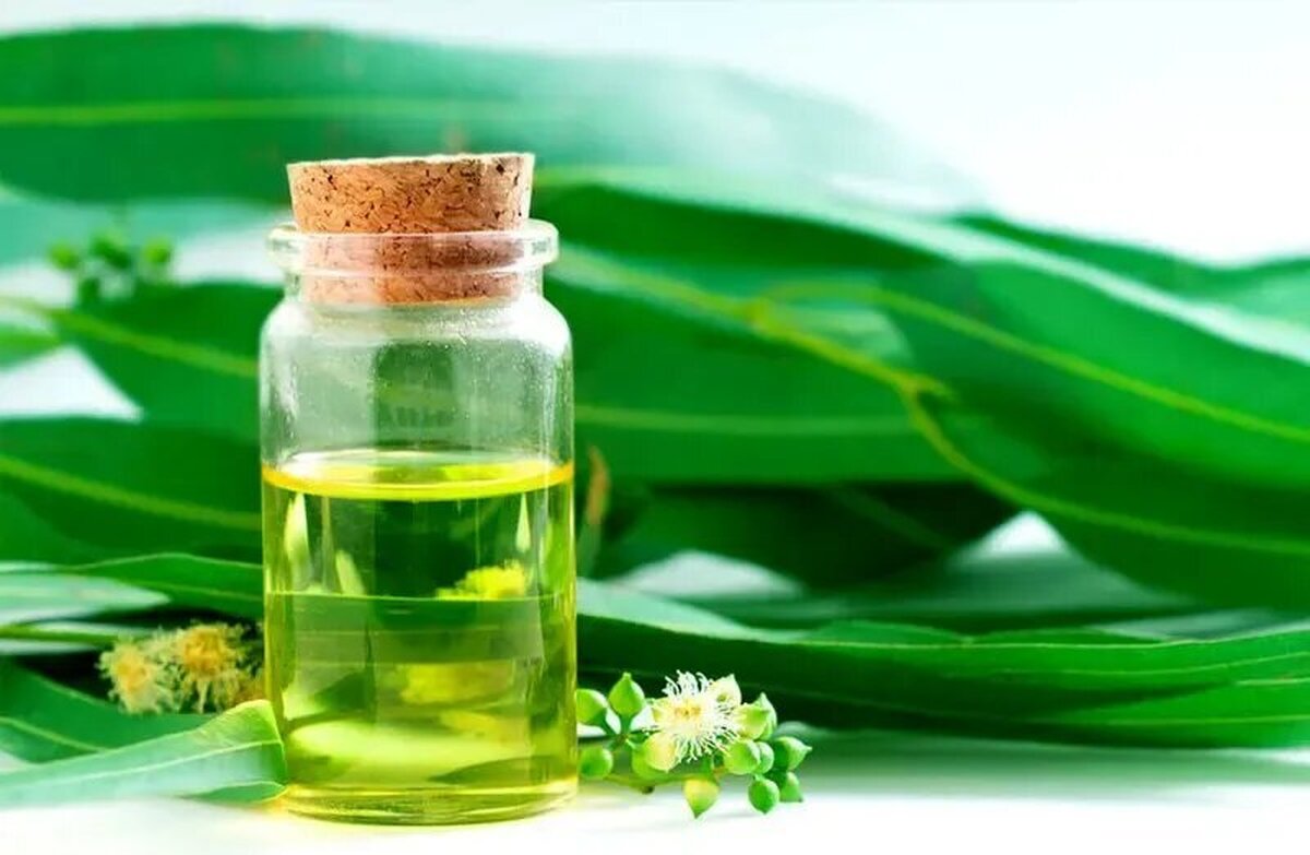 برای تسکین علائم آلرژی فصلی از چه روغنی استفاده کنیم؟