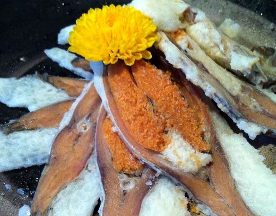 ۹ دانستنی جالب در مورد تاریخچه «سوشی»