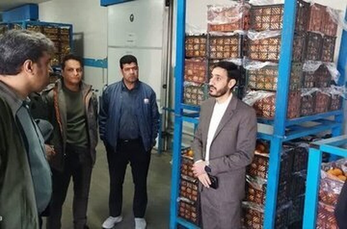 دستور نماینده دادستان برای فروش میوه فقط با فاکتور الکترونیک