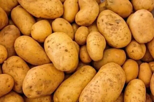 جای این ۹ خوراکی در یخچال نیست! جای این ۹ خوراکی در یخچال نیست!