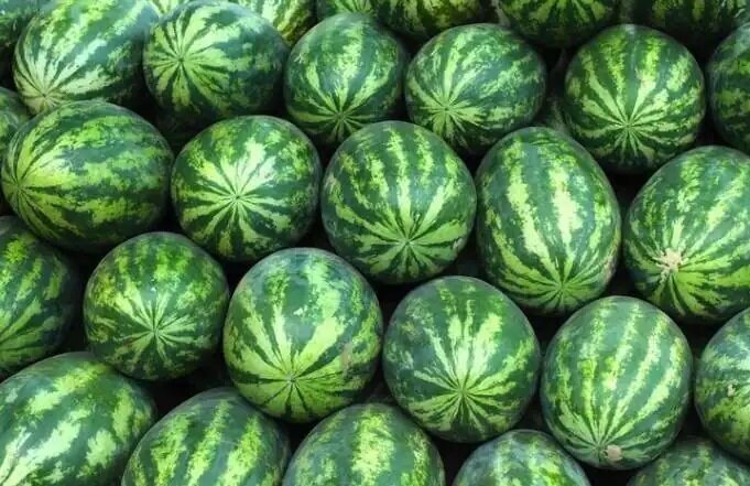 جای این ۹ خوراکی در یخچال نیست! جای این ۹ خوراکی در یخچال نیست!