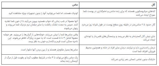 علائمی که می‌گوید دچار بیماری گال شده‌اید/آیا خطرناک است؟