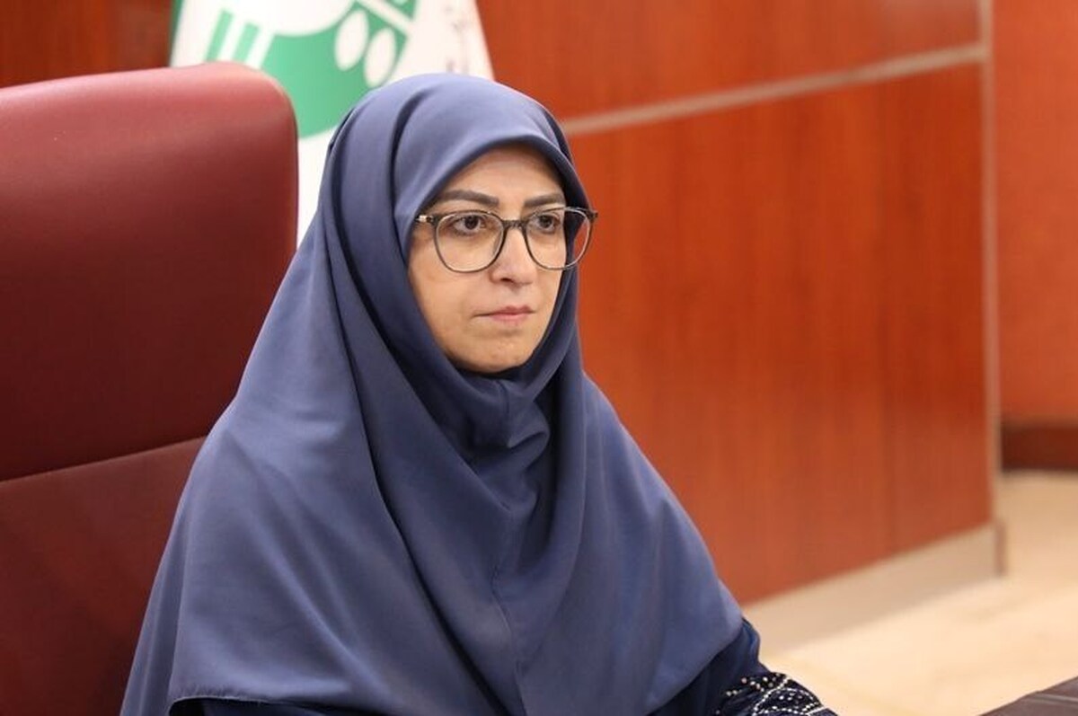 ۳۰ استان کشور درگیر پدیده فرونشست هستند