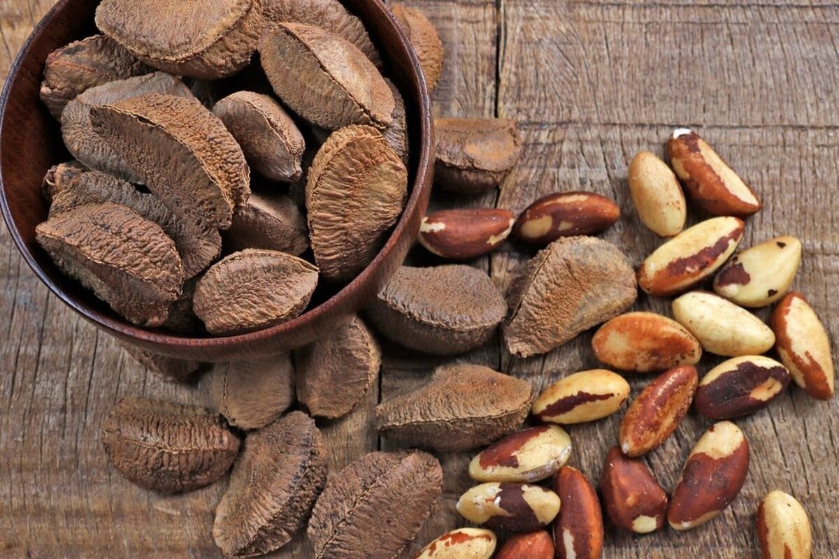 چرا می‌گویند آجیل برزیلی سرطان زا است؟
