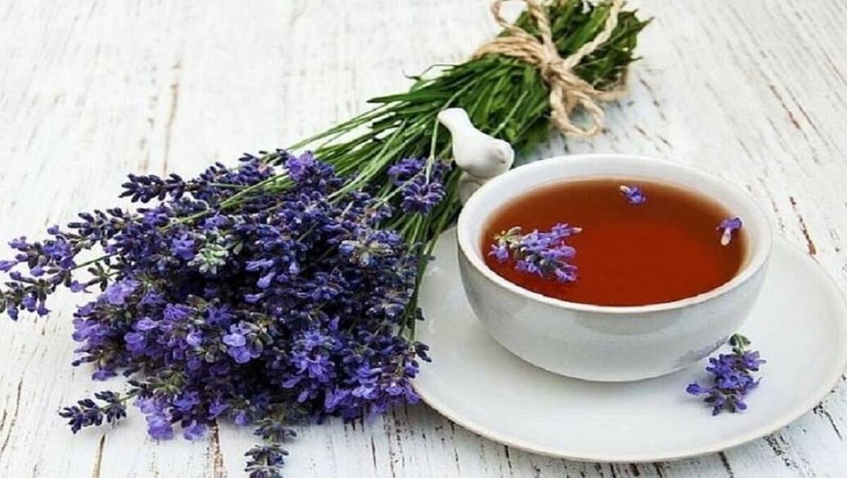 مصرف دمنوش گل گاو زبان چه خواصی دارد؟