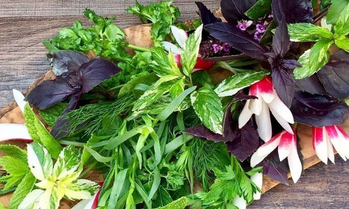 ترفند‌های متفاوت برای نگهداری طولانی مدت سبزی و پیشگیری از خراب شدن
