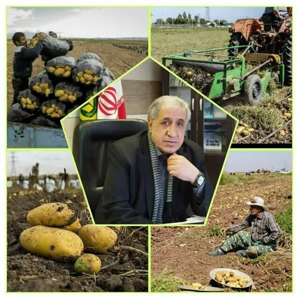 تسویه کامل۸۰۷ میلیارد تومان وجه سیب زمینی کاران استان اردبیل