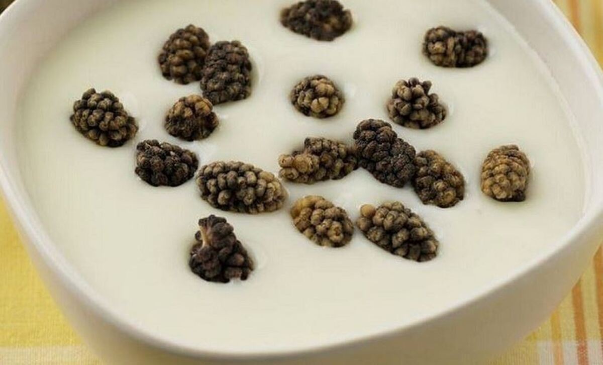 اگر از یبوست رنج می‌برید این ترکیب ویژه برای شماست!