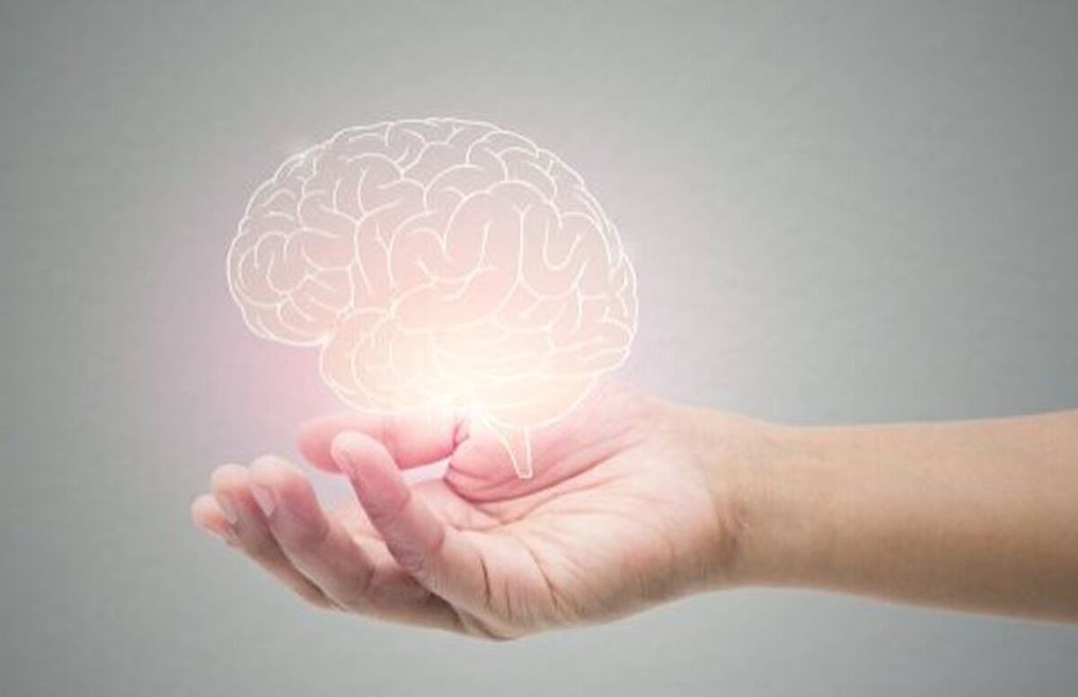 چگونه از بروز آلزایمر پیشگیری کنیم؟