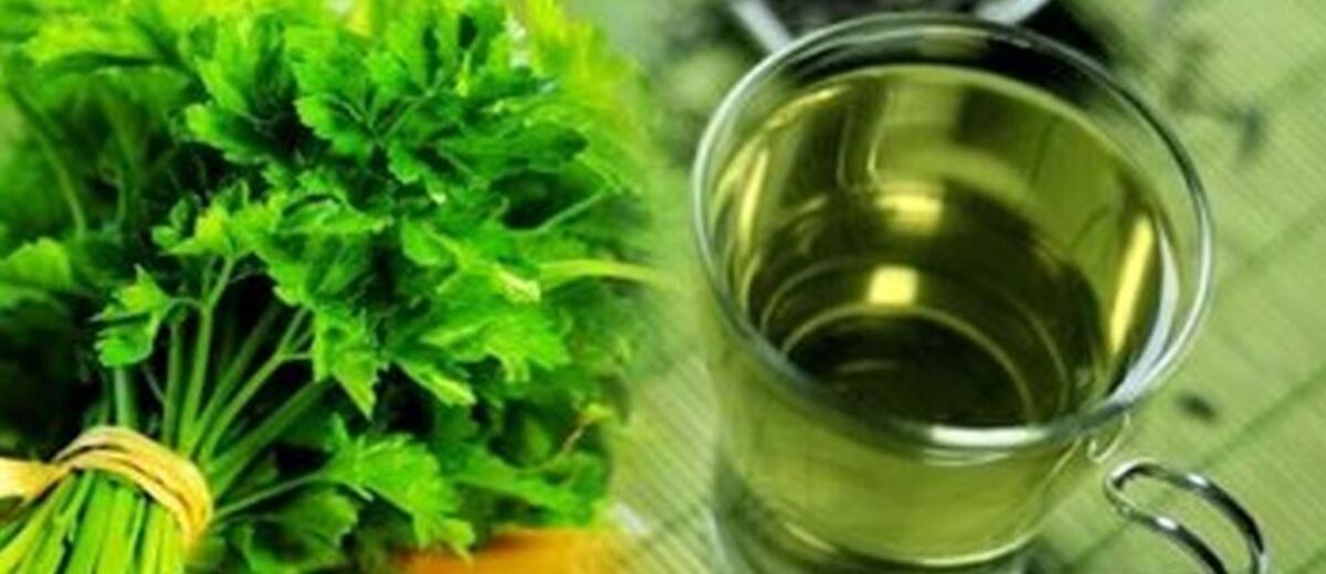 نیمی از مواد معدنی مورد نیاز بدن را با این سبزی پرطرفدار برطرف کنید