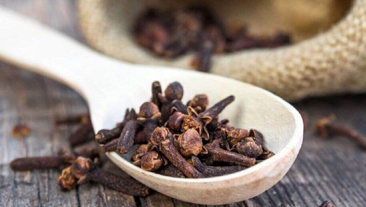 جویدن میخک چه خواصی دارد؟