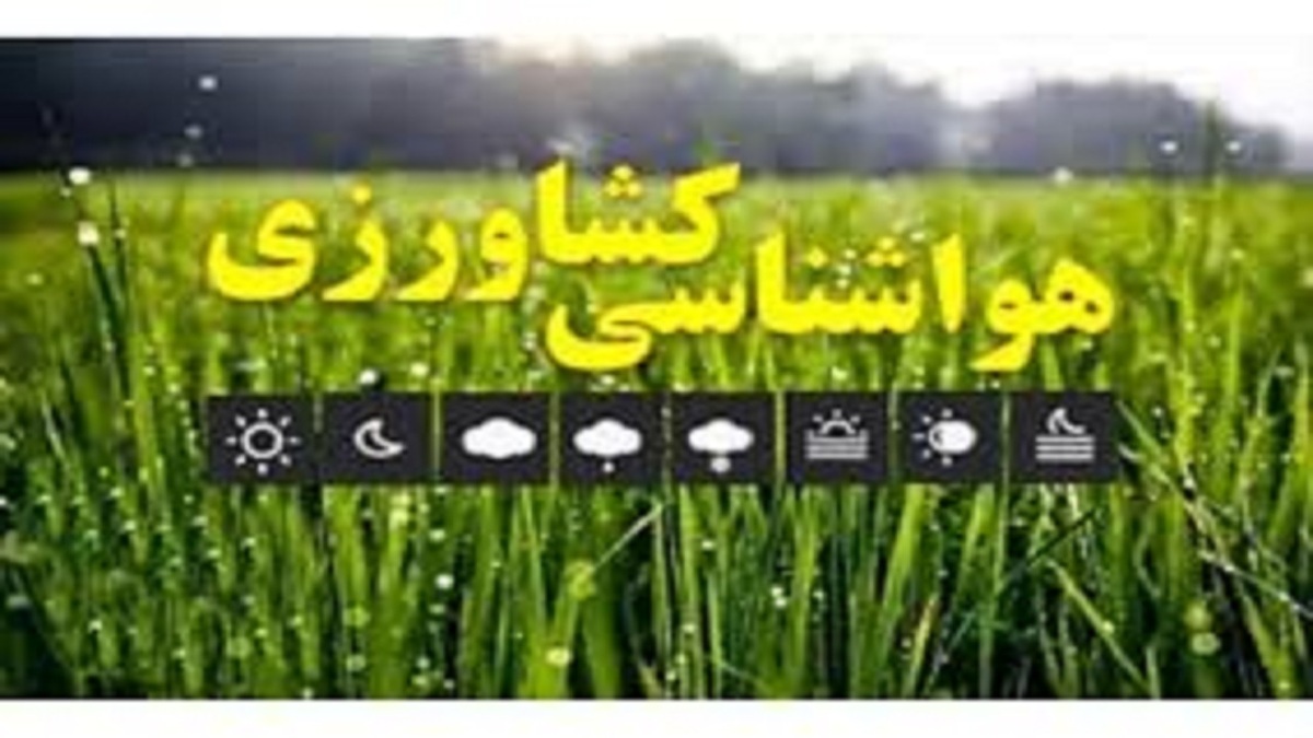 ضرورت جمع آوری سرشاخه و میوه‌های آلوده از باغات