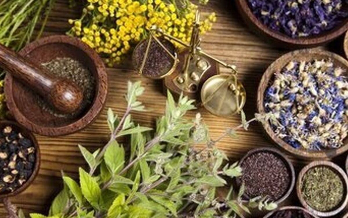 با استفاده از این گیاهان دارویی بیماری‌های دهان را درمان کنید
