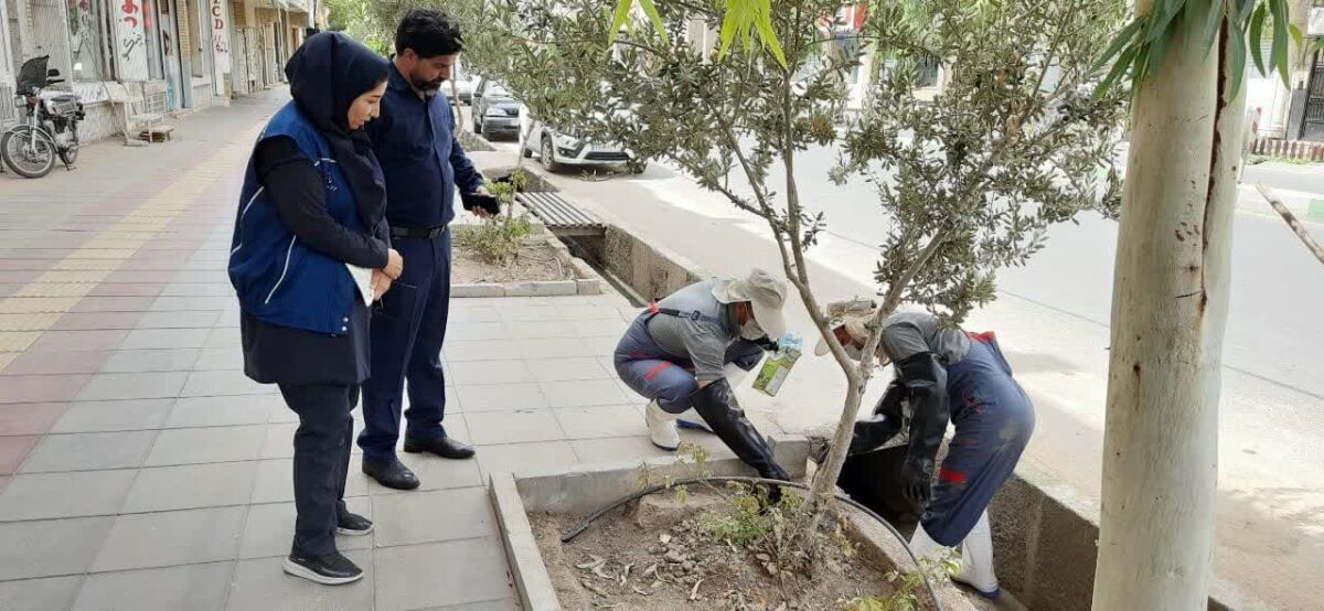 شهرداری کرمانشاه عملیات محیط‌زیستی علیه جوندگان و زوائد بصری را آغاز کرد