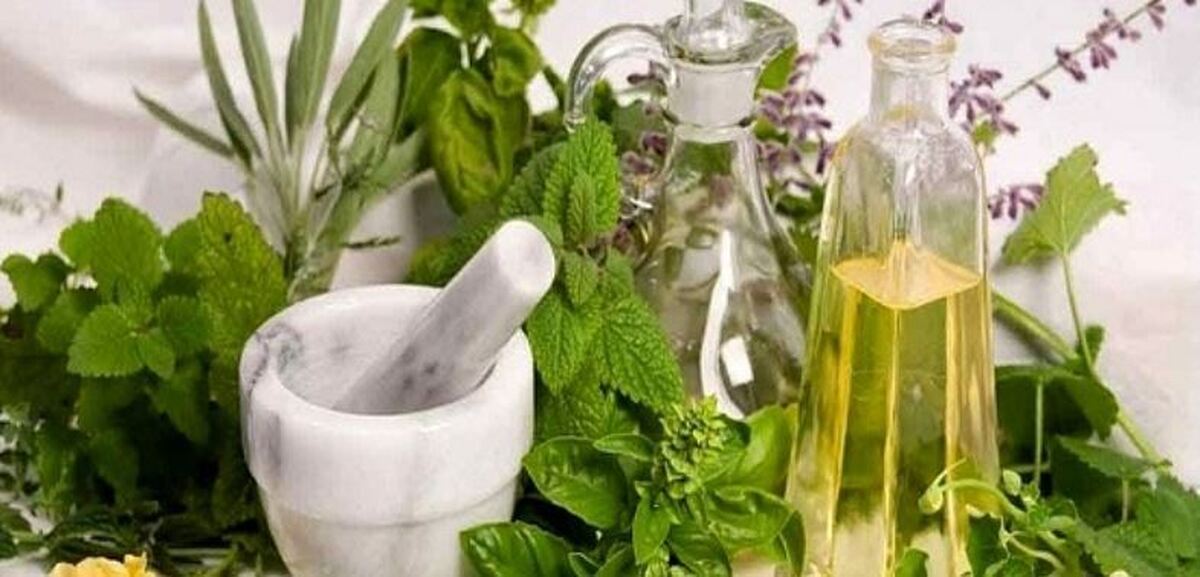 با این گیاه سلامت دهان را تضمین کنید