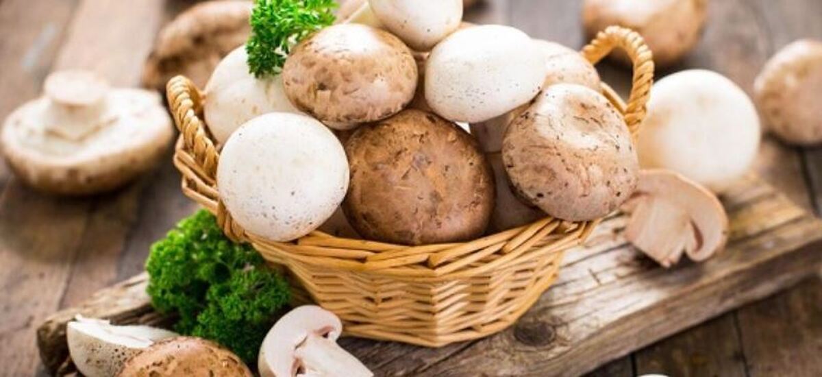 راز طول عمر بیشتر در زمین‌های کشاورزی پیدا شد
