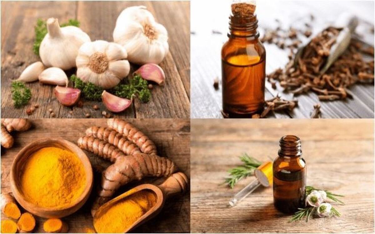 مواد غذایی حاوی آنتی بیوتیک را بشناسید