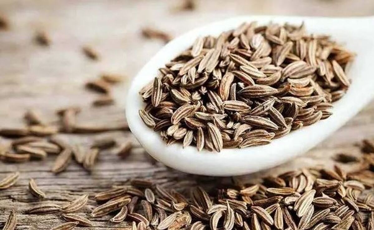 گیاه دم دستی که نمی‌دانستید منبع آنتی‌اکسیدان است