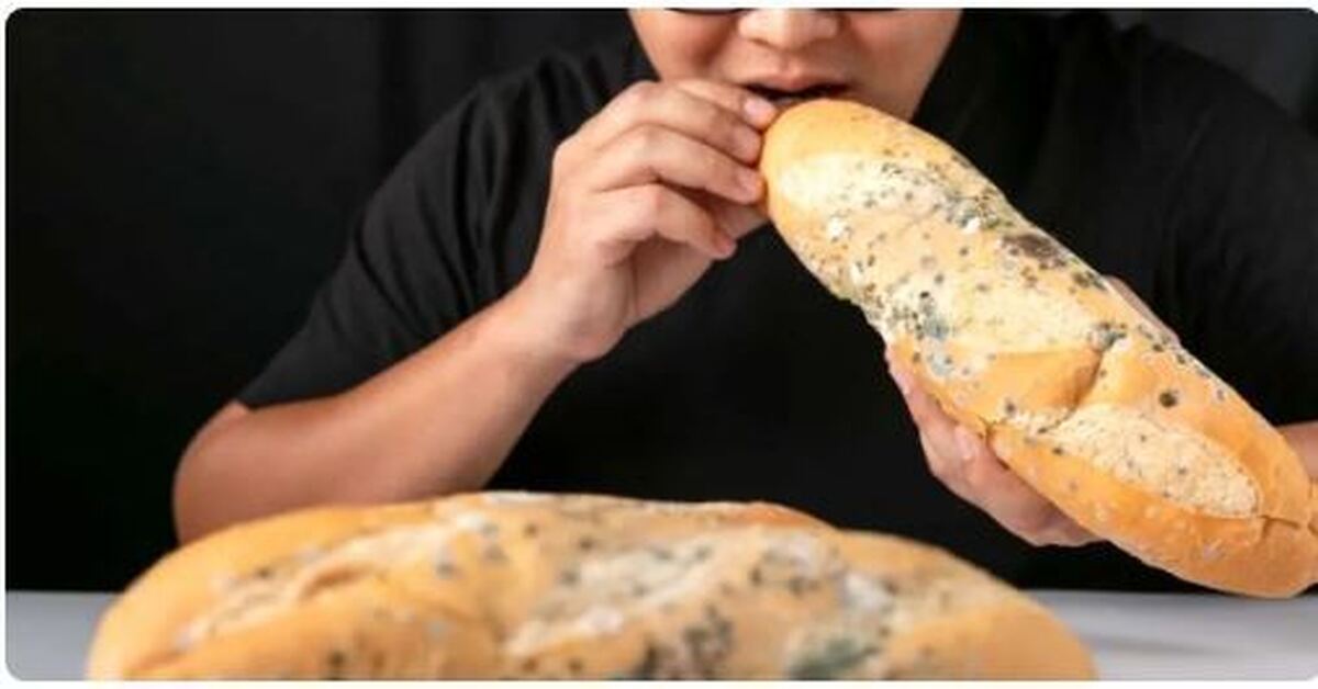 آیا می‌شود با کندن کپک نان بقیه آن را خورد؟