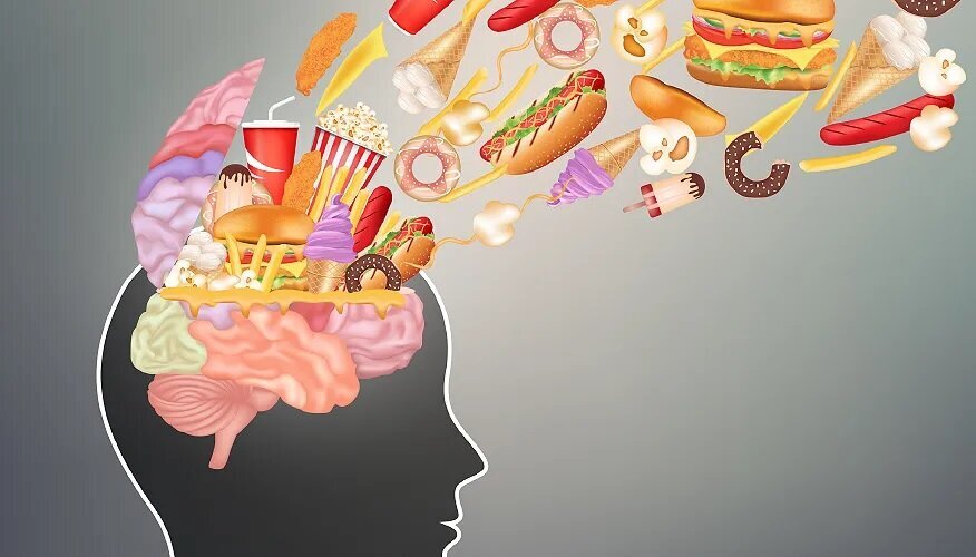 آیا می‌دانستید خوردن فست فود ساختار مغزتان را تغییر می‌دهد؟