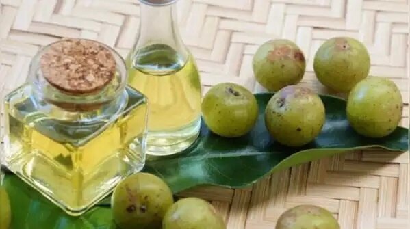 پنج روغن تقویت موی سنتی هندی که در جهان حرف اول را می‌زنند