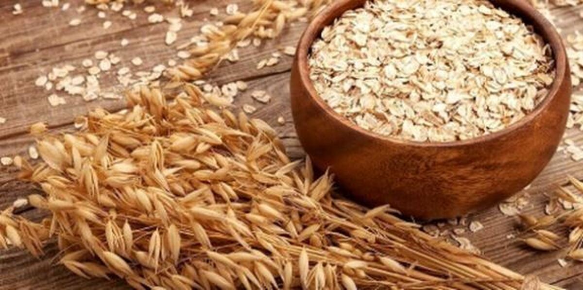 ۵ ماده مغذی مهم که ایمنی بدن را بالا می‌برند