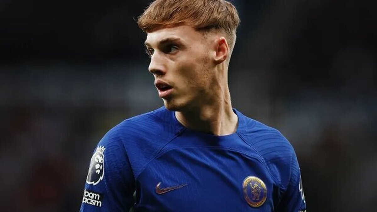 پالمر: این روز‌ها رسانه‌های اجتماعی پر از آدم‌های احمق است