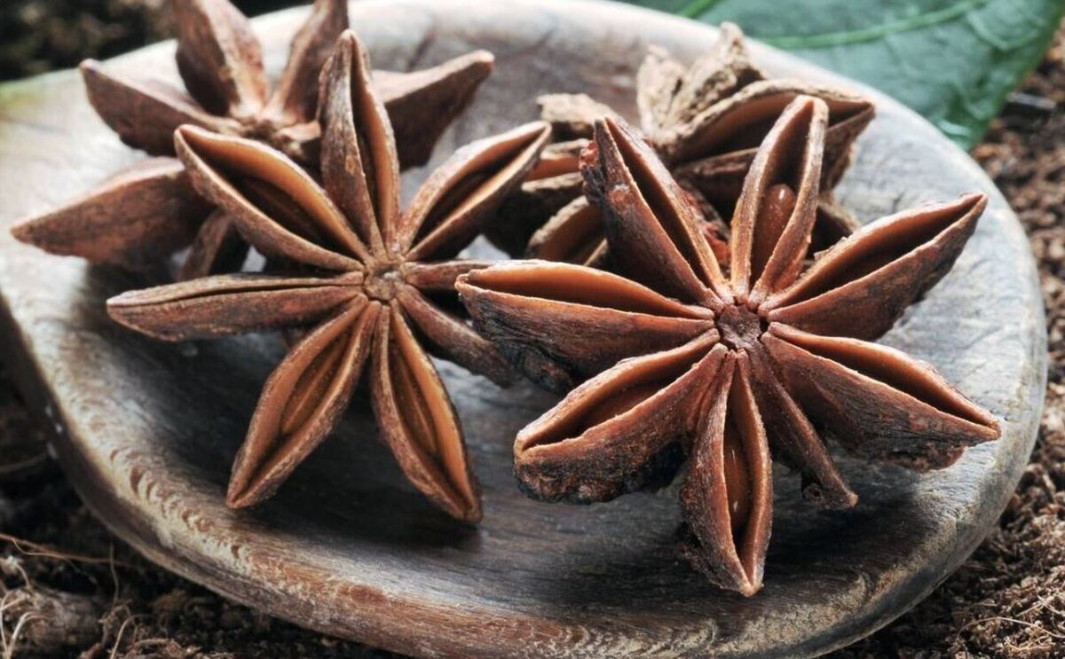 ۶ خاصیت درمانی و اعجاب انگیز دمنوش میخک که از آن‌ها بی خبرید