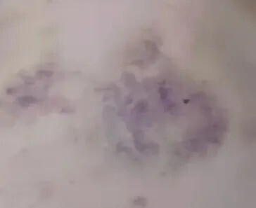 پس از تهدید و مجبور شدن به اعمال جنسی تحقیرآمیز| نامزد پایت جزئیات تکان دهنده‌ای را برای پلیس فاش می‌کند + تصاویر