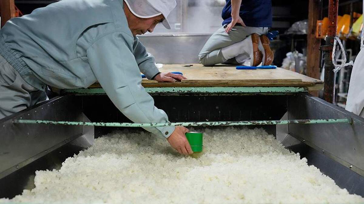 ژاپن ممکن است افزایش واردات برنج را به آمریکا در مذاکرات پیشنهاد دهد