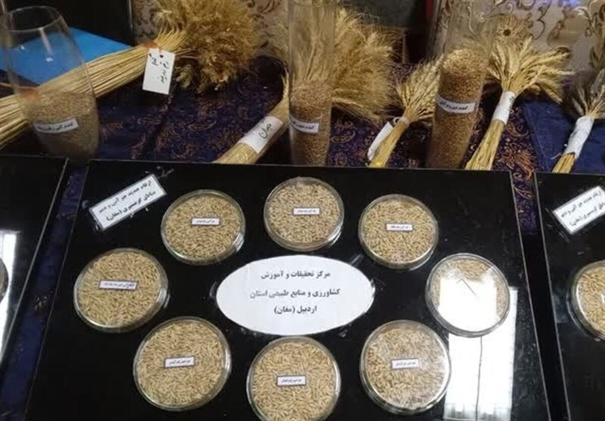 افتتاح پایگاه نان و گندم در بافت تاریخی بندرلنگه