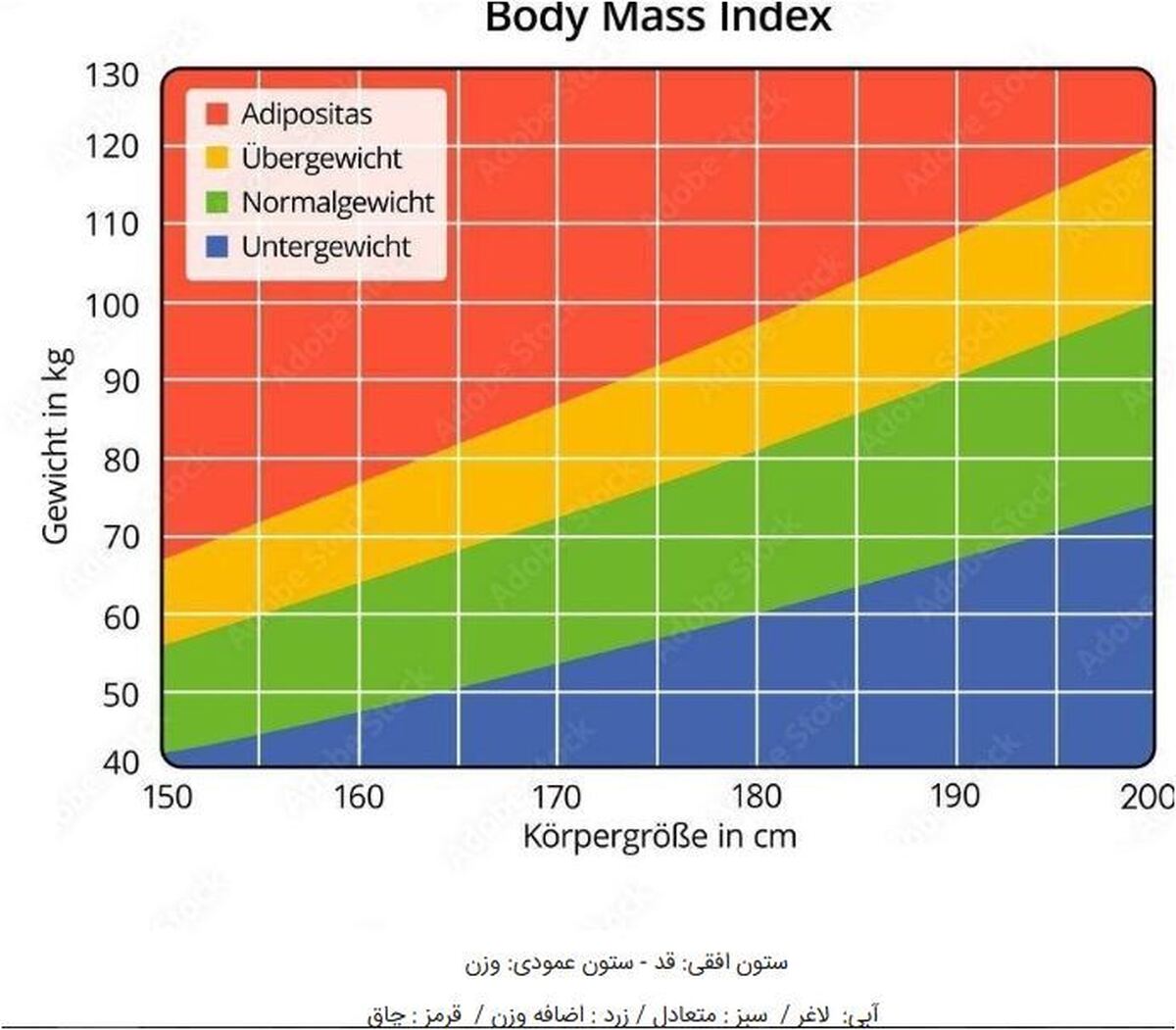 با این روش در خانه از وضعیت سلامت وزنتان باخبر شوید