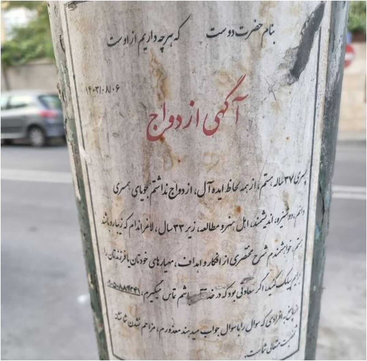 پیدا کردن همسر آینده از روی درخت!