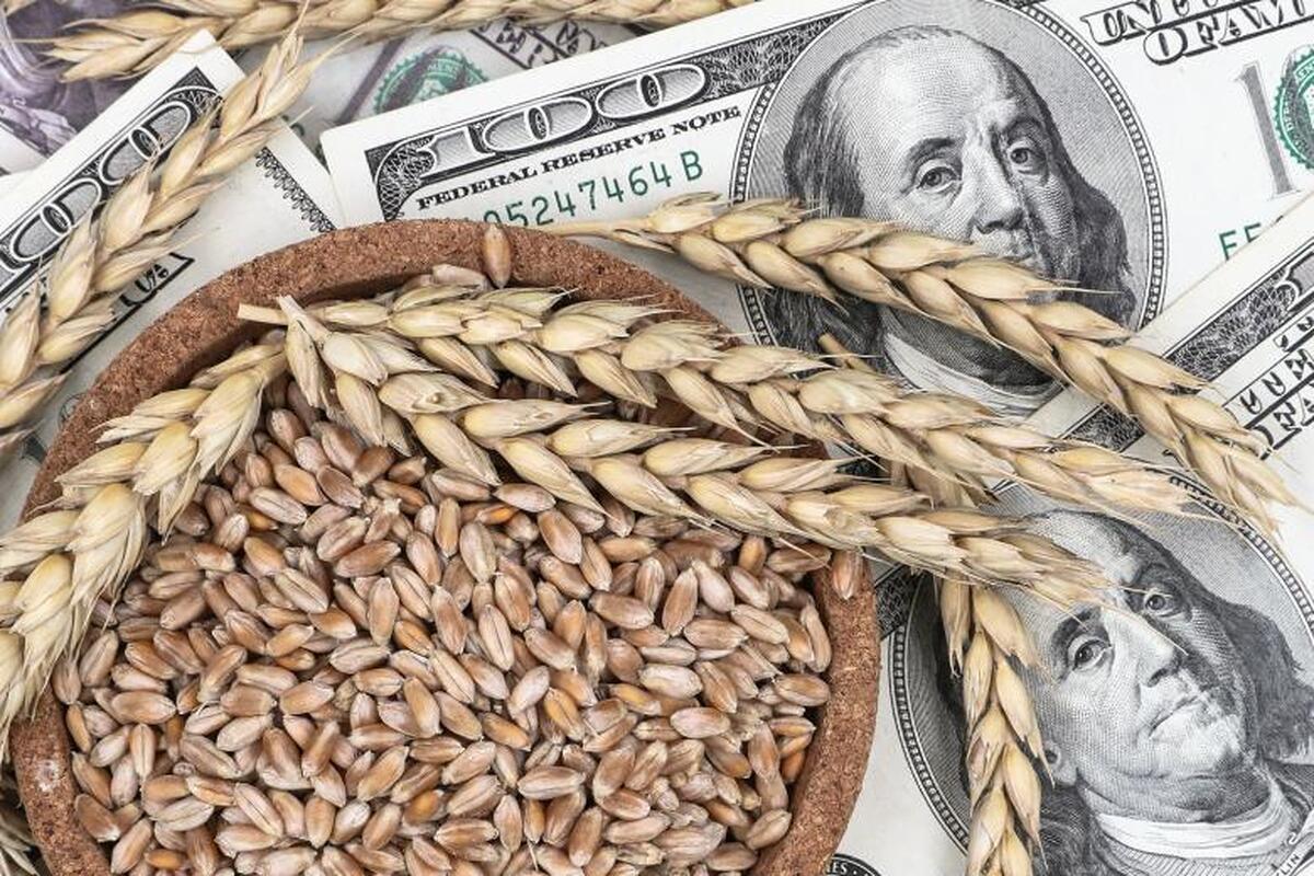 معامله غلات ممکن است پس از مذاکرات در ترکیه از سر گرفته شود