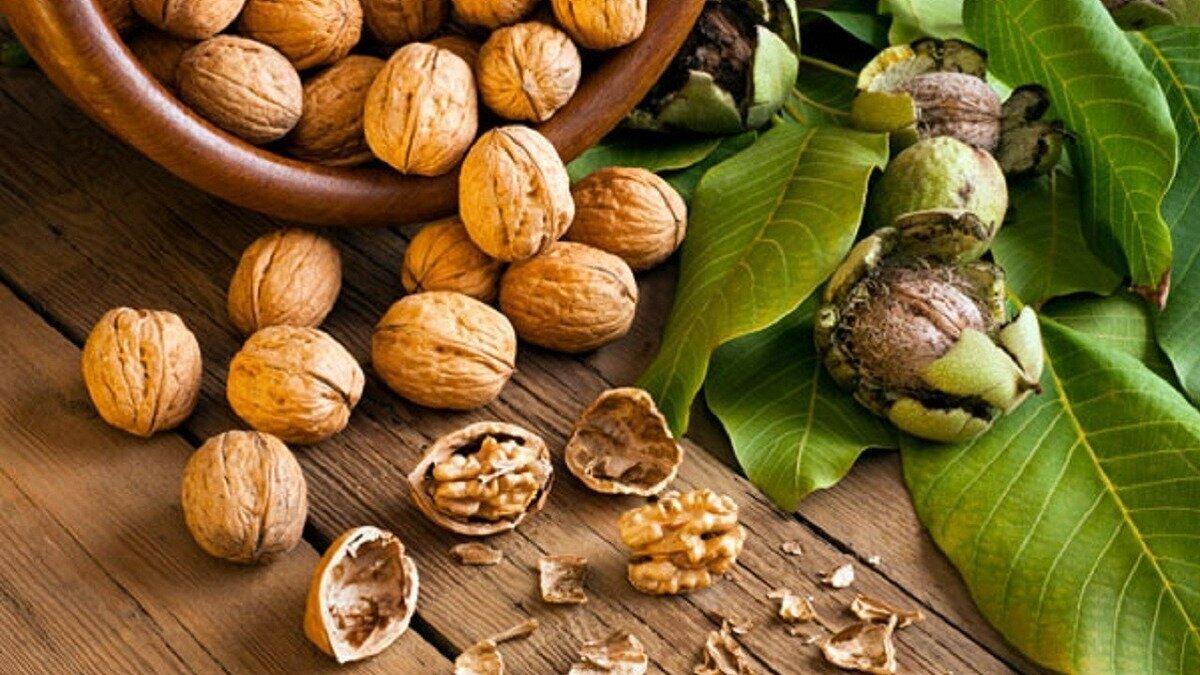 مصرف منظم گردو چه تاثیری بر عملکرد بدن می‌گذارد؟