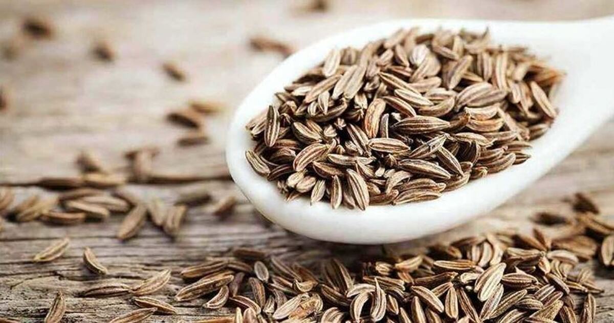 ۵ خاصیت معجزه آسای این ادویه محبوب که نمی‌دانستید