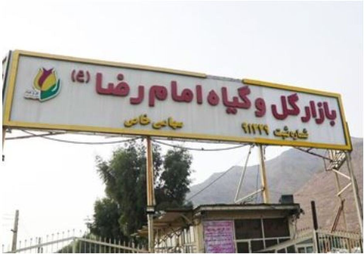 بازار گل و گیاه امام رضا (ع) در آستانه پلمب شدن