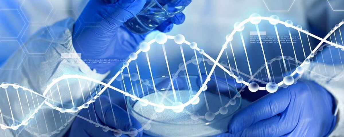 کشف حلقه‌زنی سه‌بعدی DNA در جِلی‌ماهی‌های باستانی!