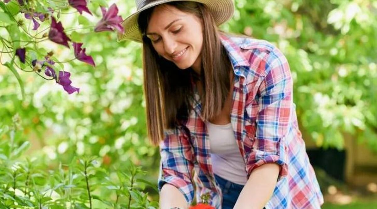 بهبود سلامت روان با کمک طبیعت و گیاهان نه دارو