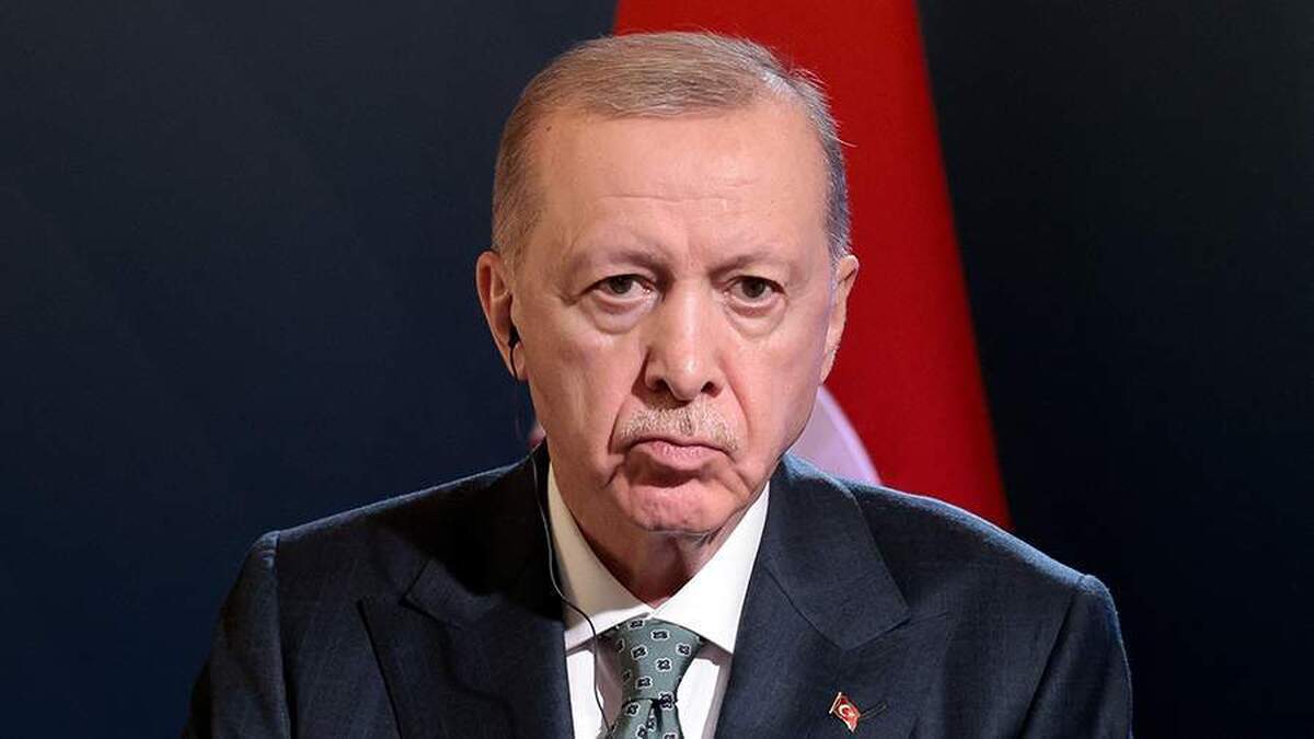 اردوغان مذاکرات با پوتین درباره اوکراین را معنادار خواند