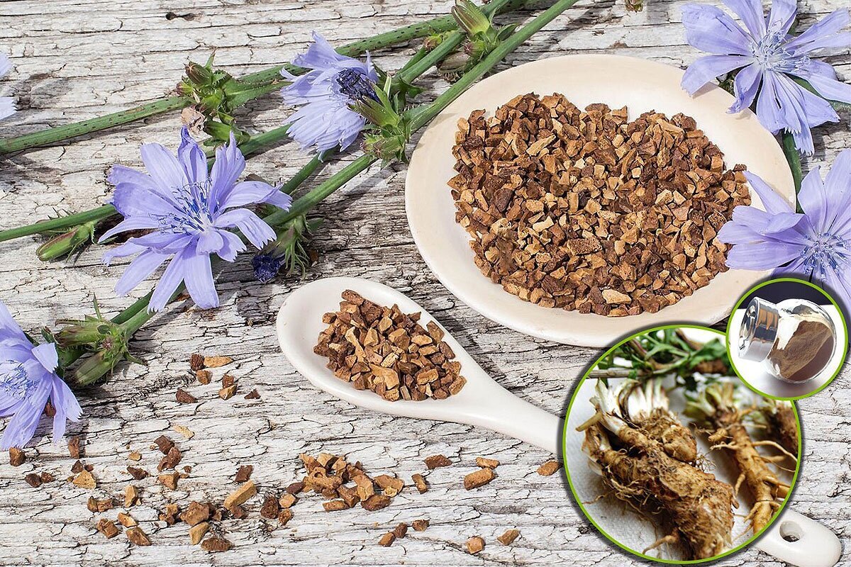 تصفیه خون با یک گیاه دارویی شناخته شده