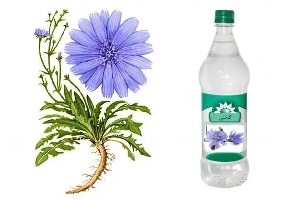 تصفیه خون با یک گیاه دارویی شناخته شده