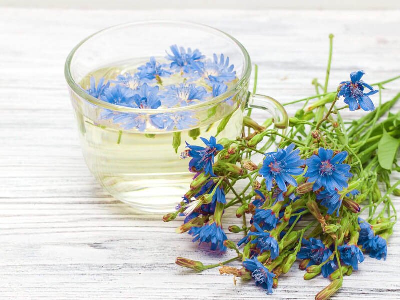 تصفیه خون با یک گیاه دارویی شناخته شده