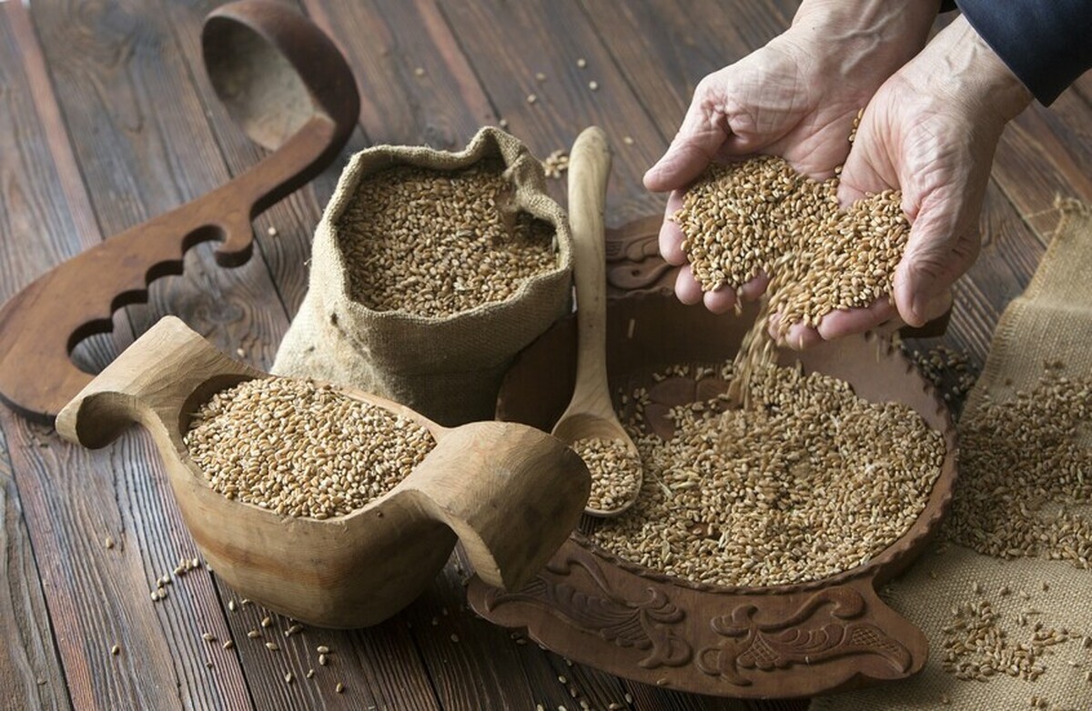 از بستنی گرفته تا گندم| با صادرات مواد غذایی روسیه به امارات آشنا شوید