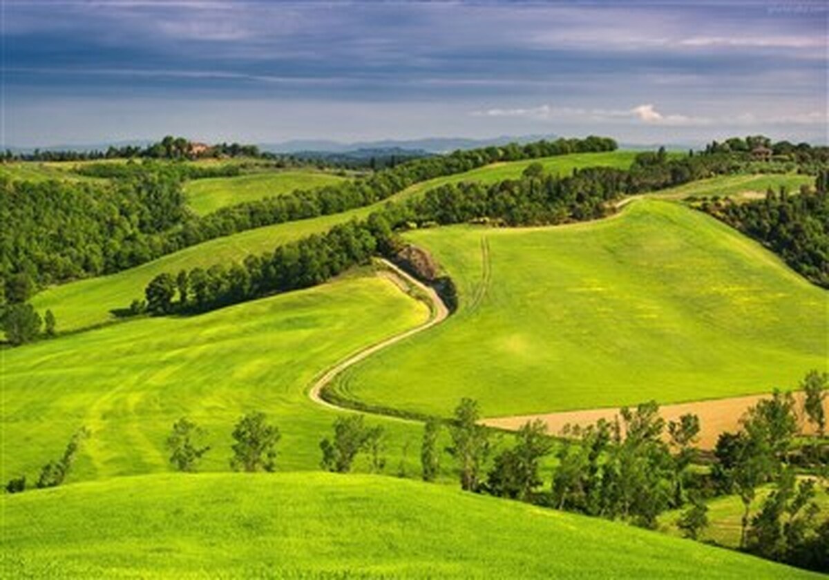 احیای ۹۰۰ هزار هکتار مرتع در اردبیل
