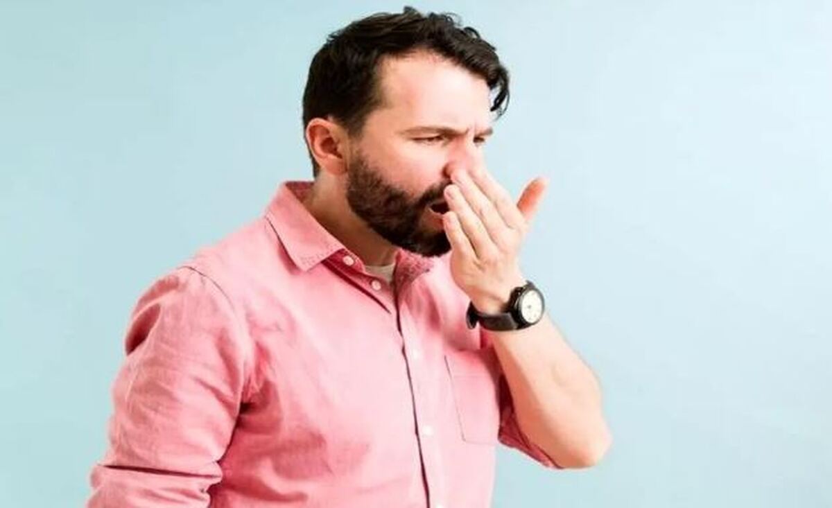 این میوه‌ها خوش بو کننده طبیعی دهان هستند