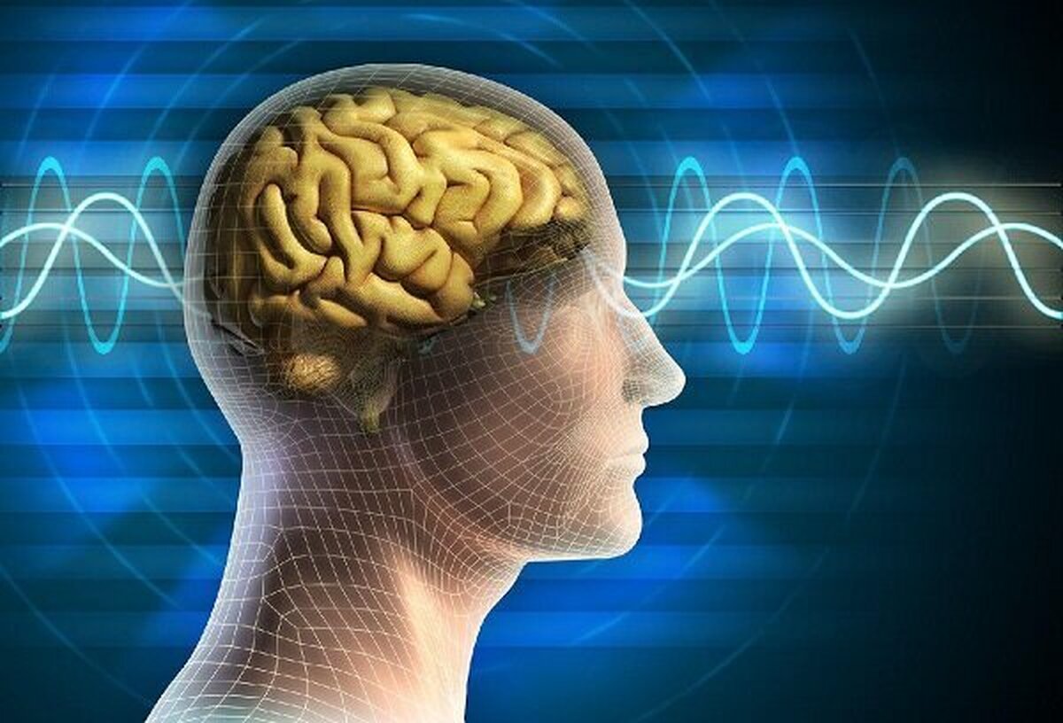 ساعات کاری طولانی چه تاثیری بر ساختار مغزی دارد؟
